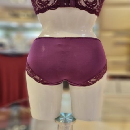 4804N 와인 햄팬티