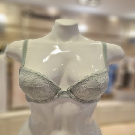 보테니컬레이스 몰드브라