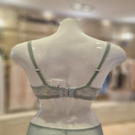 보테니컬레이스 몰드브라