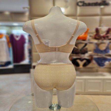 홑겹4437와이어브라세트