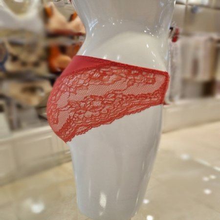 레이스4441팬티2종세트