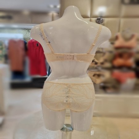 핑크레이스와이어몰드브라4806P세트