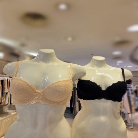 레이스4806P와이어몰드브라2컬러세트