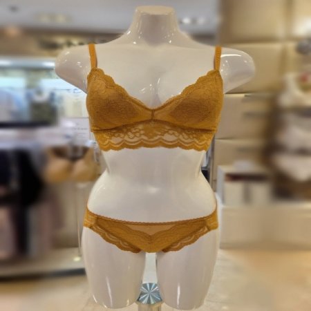 삼각컵4443 골드브라운브라렛세트