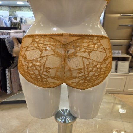 골드브라운4443 레이스팬티