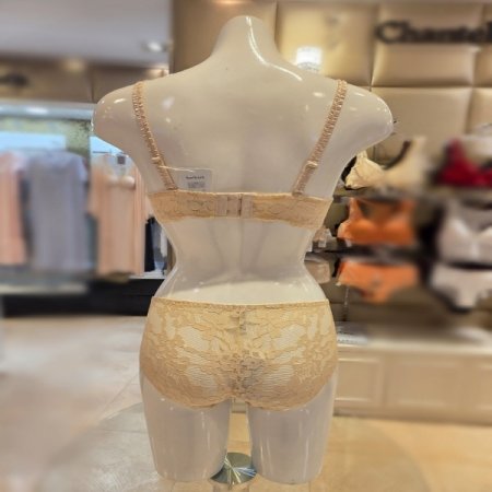 34컵 4446레이스브라세트