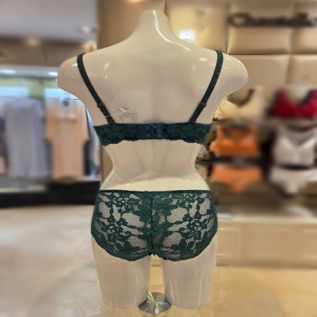 그린34컵4446레이스브라세트