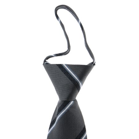 지퍼타이레지멘탈 자동 타이