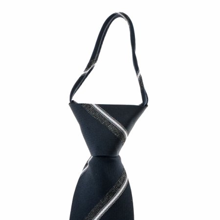 지퍼타이레지멘탈 자동 타이