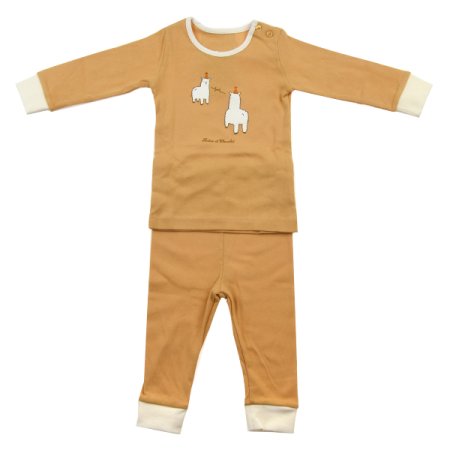 쁘띠라마슬림상하 2종선물세트