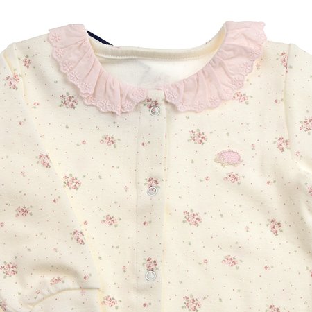 TCGL달리모달우주SET