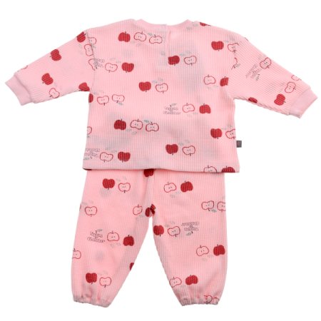 25년신상TCGL사과들상하P