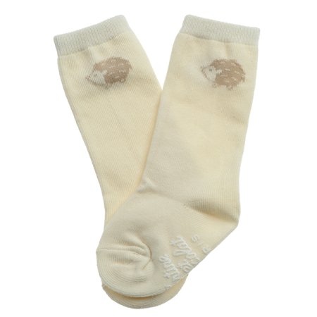 TCUS레오고슴이장말