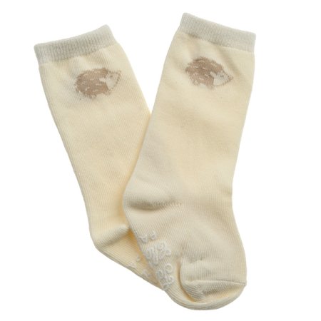 TCUS레오고슴이장말