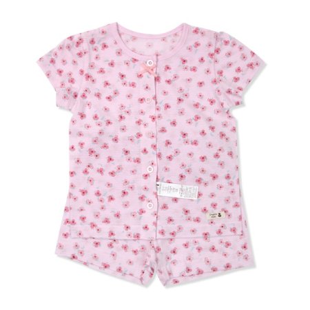 슈베린반소내의