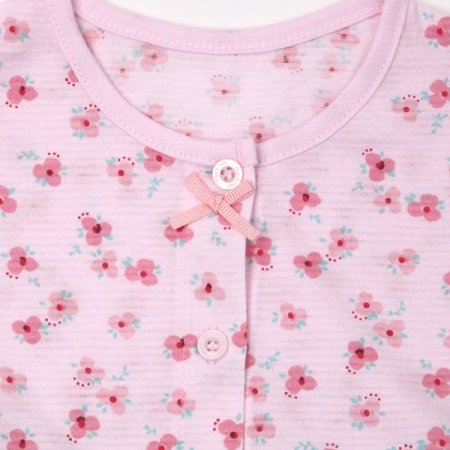 슈베린반소내의