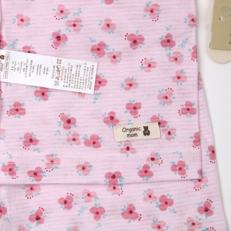 슈베린반소내의