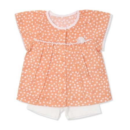 나비앙반소내의