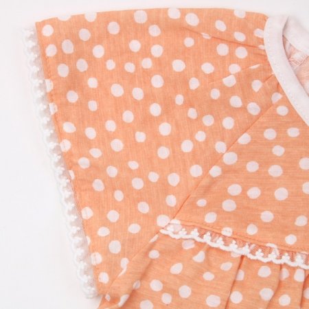 나비앙반소내의