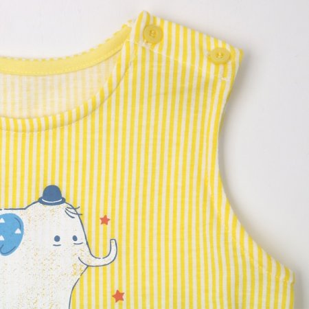 엘펀스트민소내의