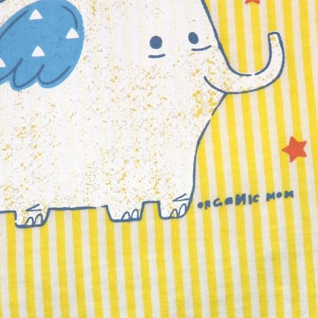 엘펀스트민소내의