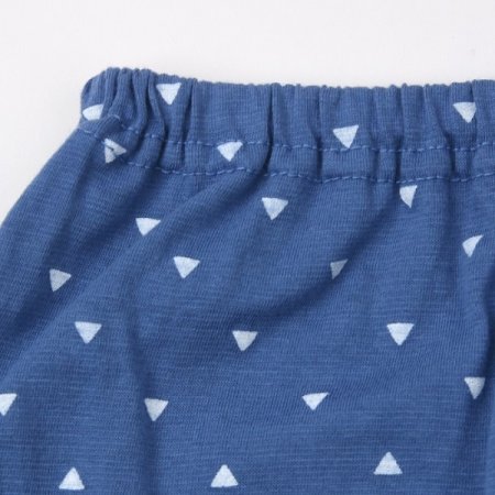 엘펀스트민소내의