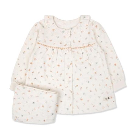 프리플긴소내의