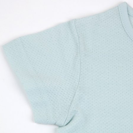 크레용민트반소내의