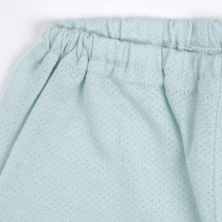 크레용민트반소내의