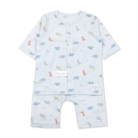 스티고칠부내의