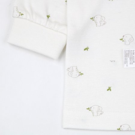 코니모긴소내의