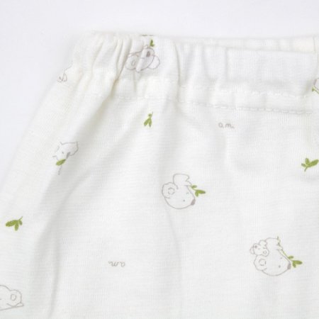 코니모긴소내의