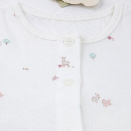 밤비라긴소내의