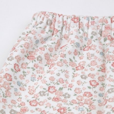 아로니긴소내의