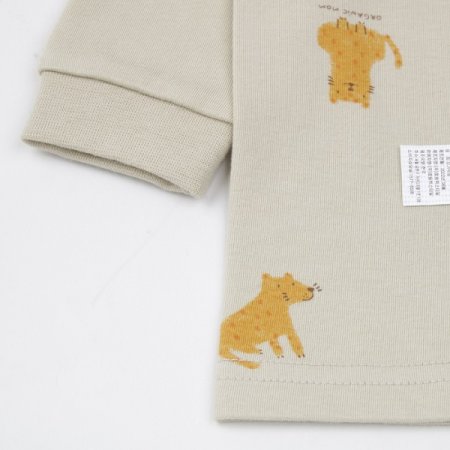 레오드긴소내의