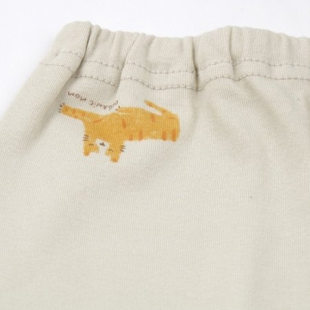 레오드긴소내의