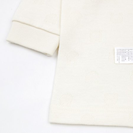 루시드긴소내의