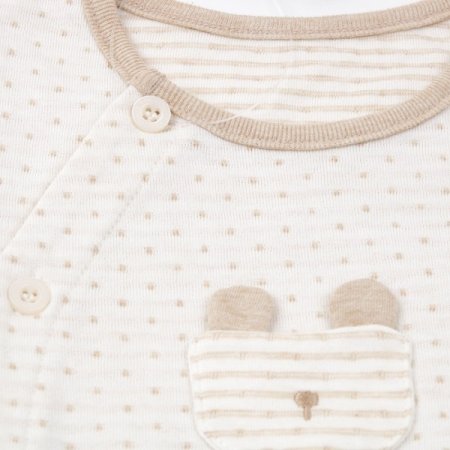 브로니긴소내의