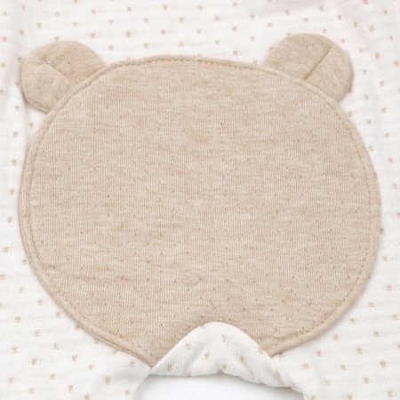 브로니긴소내의