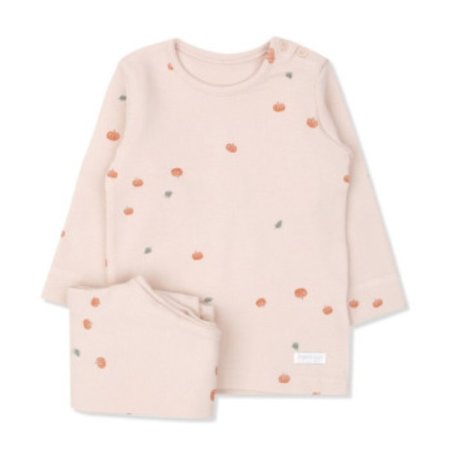 토리노긴소내의