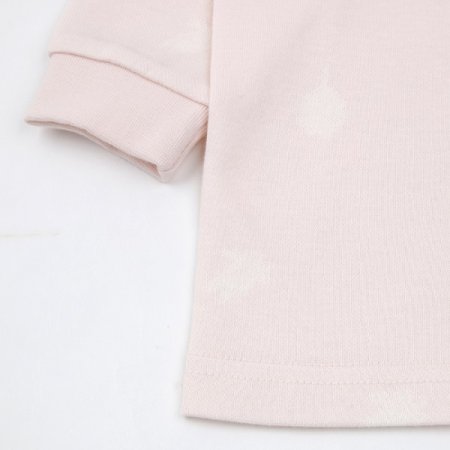 베어리긴소내의