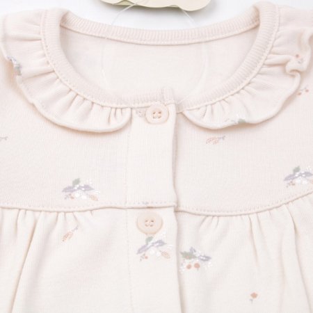 로디아긴소내의