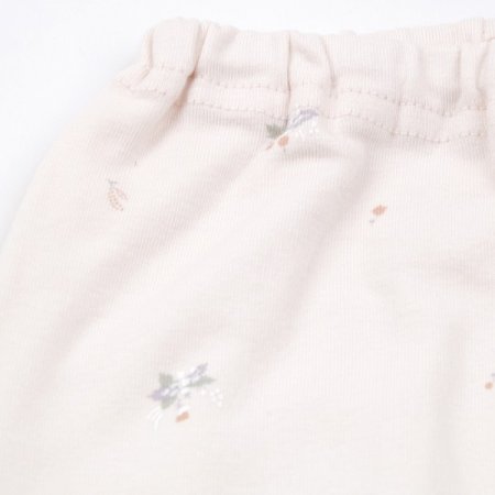 로디아긴소내의