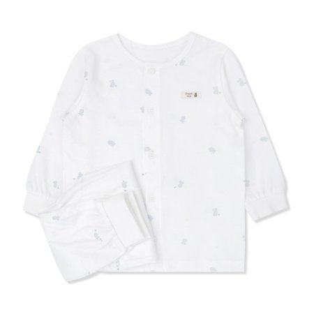 레비닛긴소내의