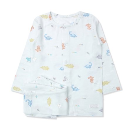 티코스긴소내의