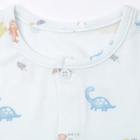 티코스긴소내의