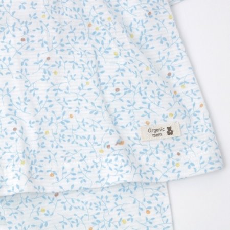 베니아칠부내의