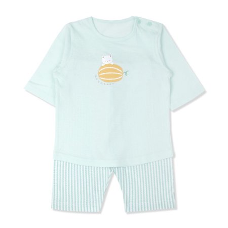 멜리멜론칠부내의 2종