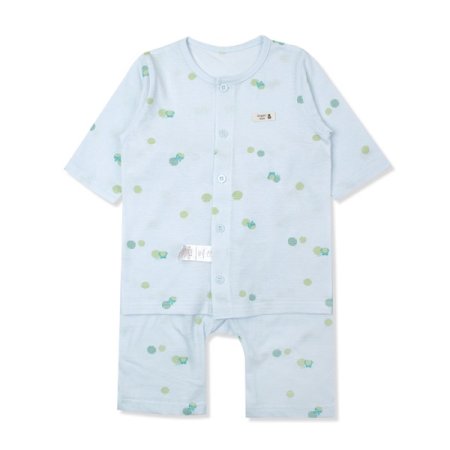 프랑벤트칠부내의 2종