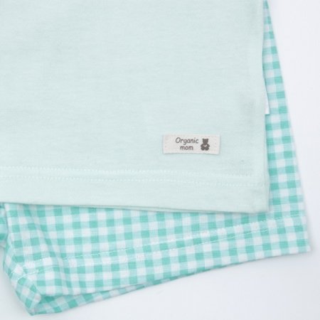 그린아보반소내의